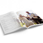 Revistas